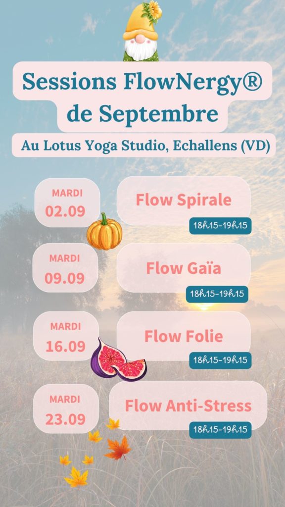 Sessions - mise en mouvement – Vaud – Lausanne - Echallens - FlowNergy