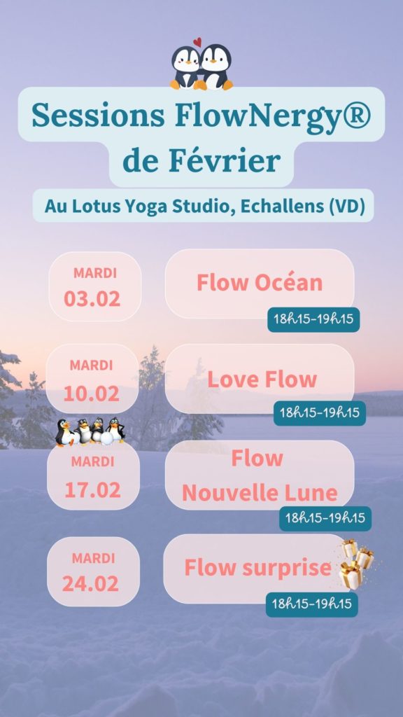 Sessions - mise en mouvement – Vaud – Lausanne - Echallens - FlowNergy