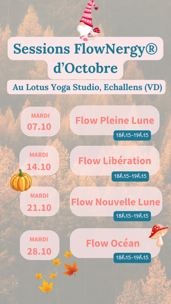 Sessions - mise en mouvement – Vaud – Lausanne - Echallens - FlowNergy