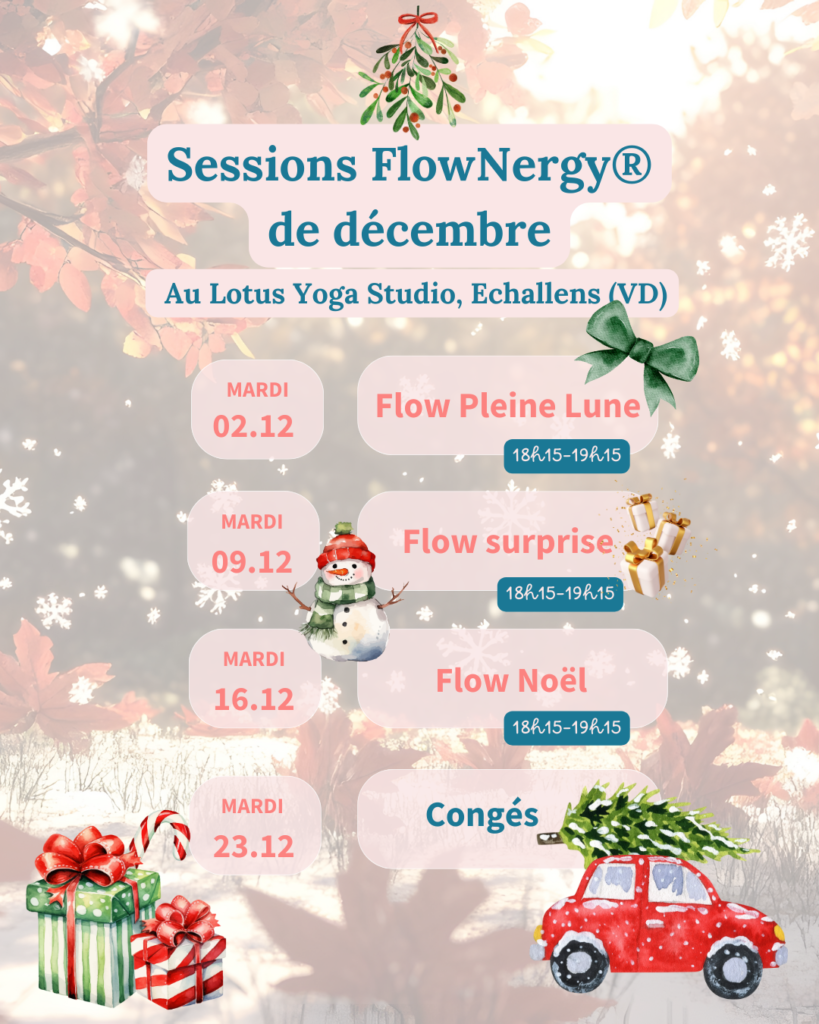Sessions - mise en mouvement – Vaud – Lausanne - Echallens - FlowNergy